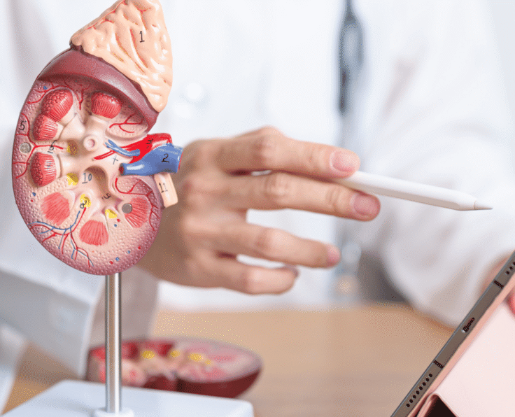 Chronic Kidney Disease (CKD) (1)